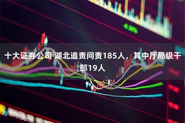 十大证券公司 湖北追责问责185人，其中厅局级干部19人